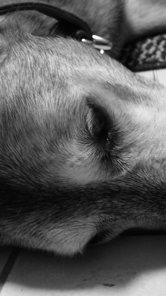 Two Eyes