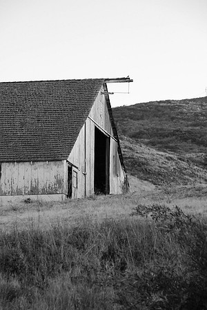 Raise the Barn