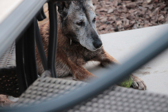 On The Patio