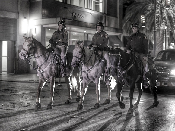 Night Parade 3
