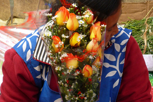 Shy Flowers