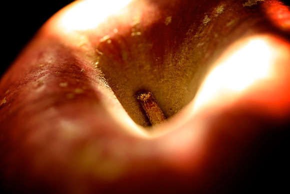 Apple Morning 1
