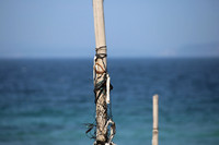 The Beauty of the Sea