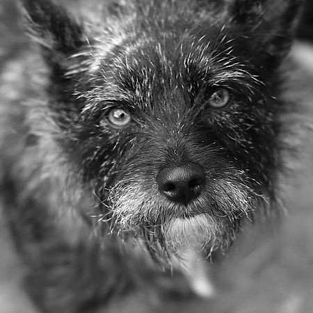 Jack