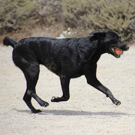 Luke Runs