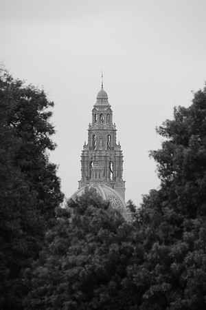 Balboa Park View