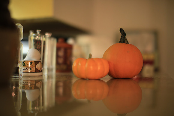 Harvest Reflection