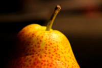 Fruit Splendor