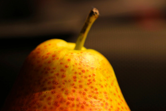 Harvest Pear 1
