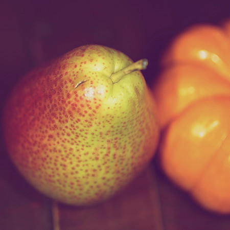 Timeless Seasons