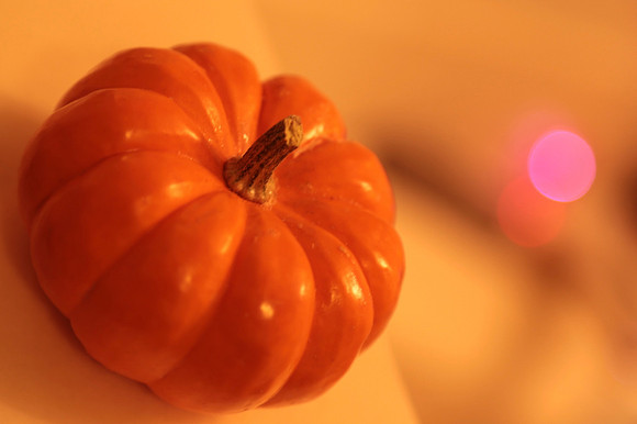 Harvest Festival