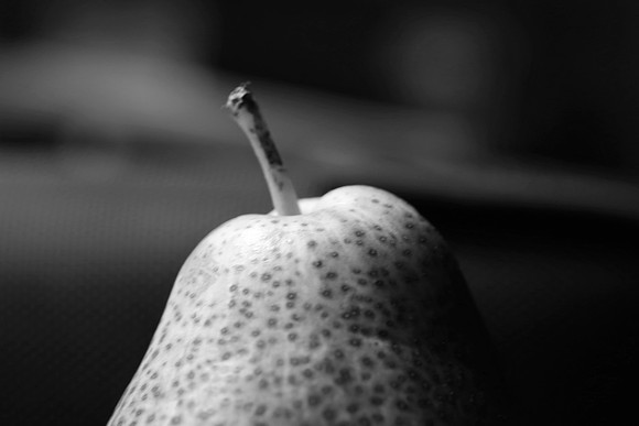 Harvest Pear 2