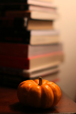 Small Squash 3