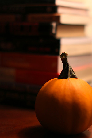 Pumpkin In Study