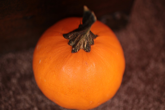 Pumpkin Patch