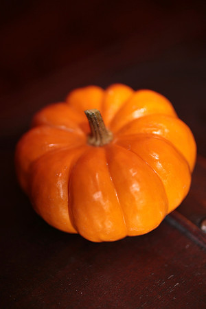 Fiesta Squash