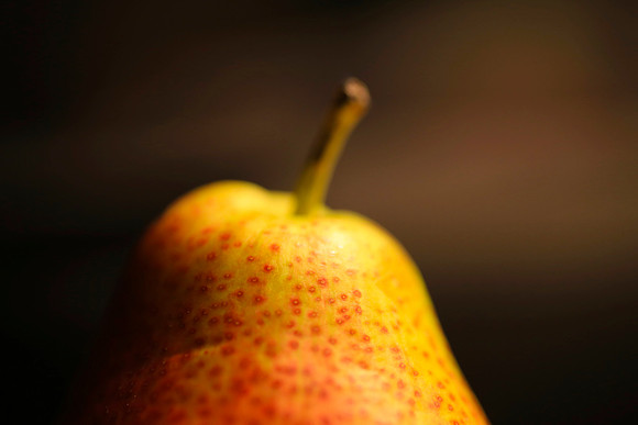 Harvest Pear 3