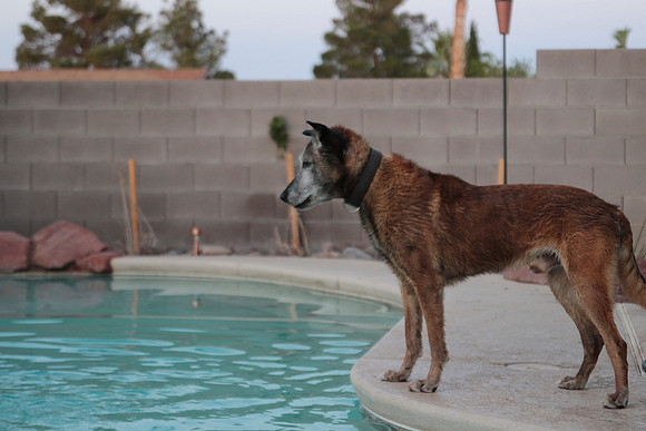 Watching The Ball