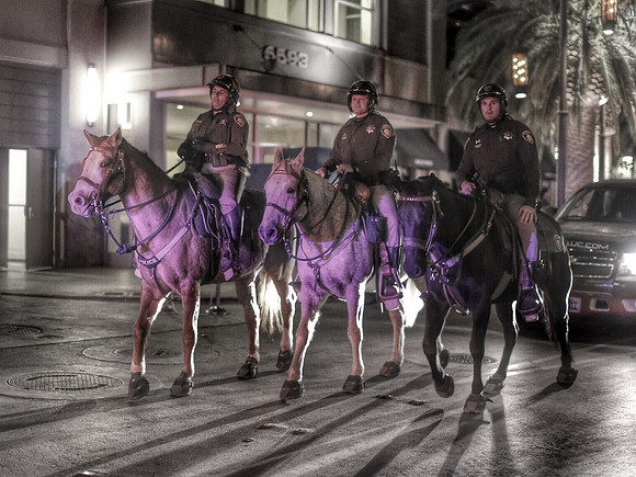 Night Parade 2