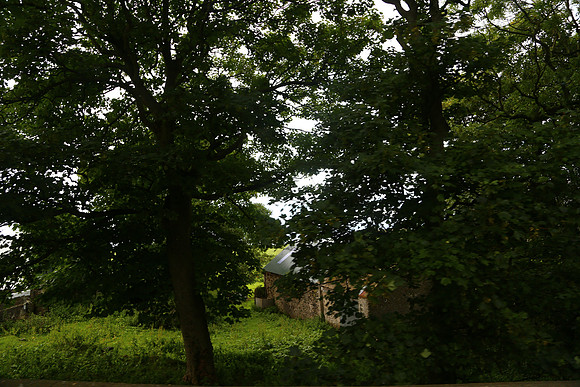 Cottage In The Woods