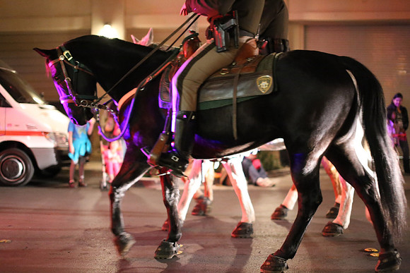 Equestrian