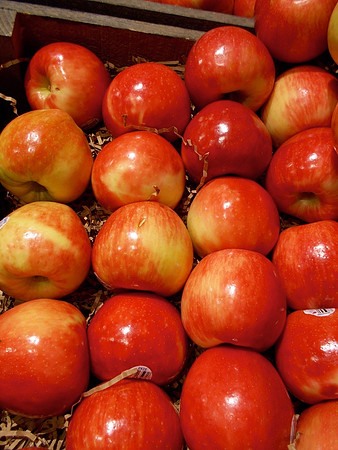 Apple Rows