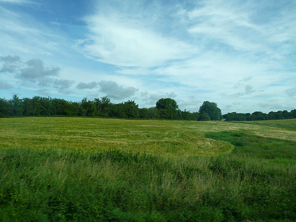 Beyond The Clearing