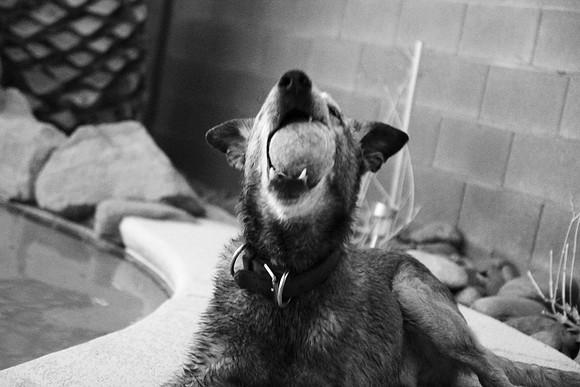 Mouthful