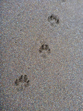 Step By Step
