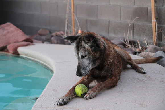 My Ball