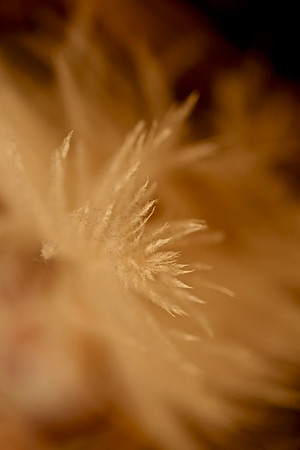 Feather Touch