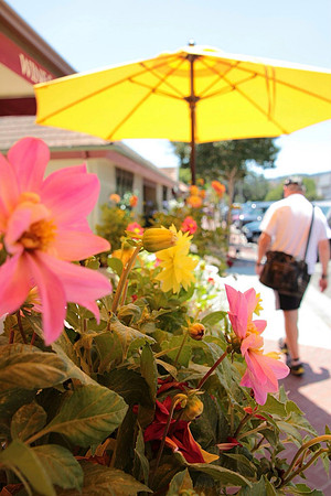 Yellow Umbrella