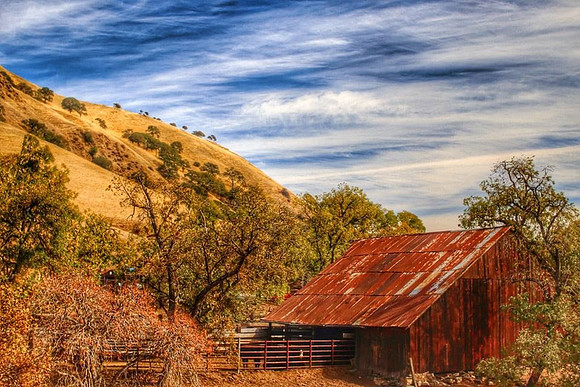 Country Afternoon