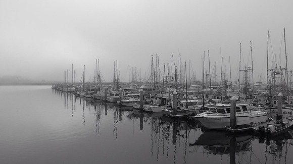 Fog Harbor