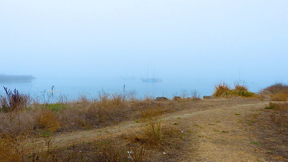 Misty Path