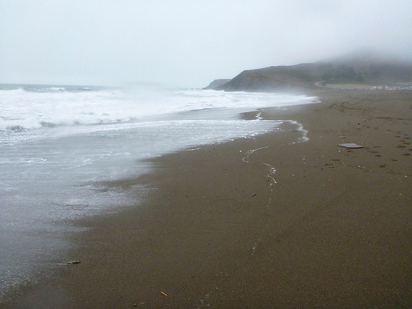 Misty Shoreline
