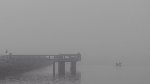 Enter The Mist