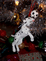 Holiday Happenings