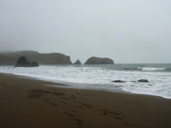Love On The Shores