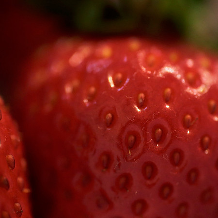 Berry 2