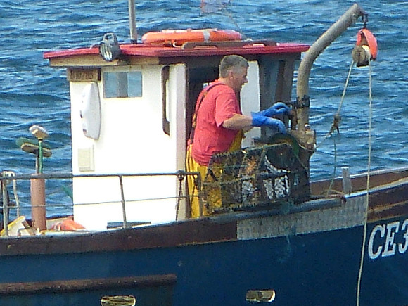Lobstering