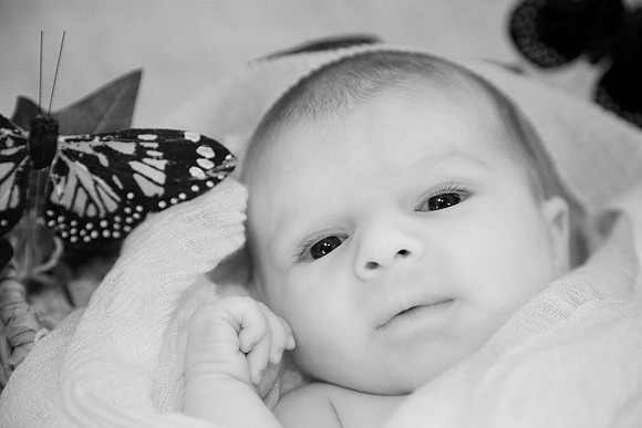 Newborns