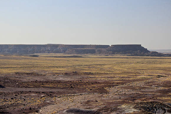 Far Mesa