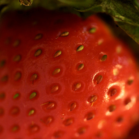 Berry 1