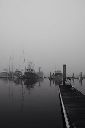 Misty Harbor