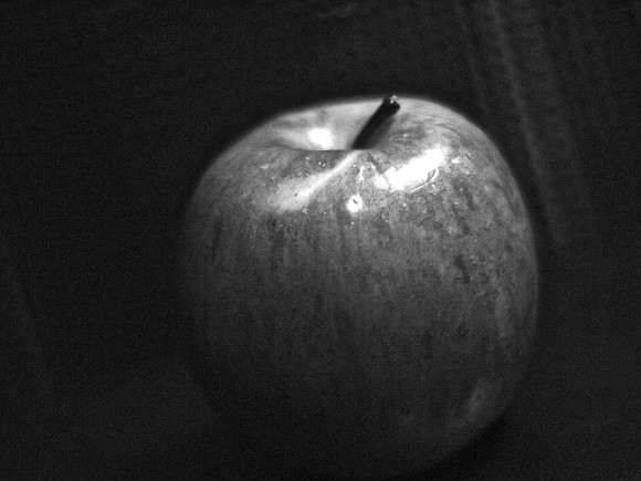 Bite Me