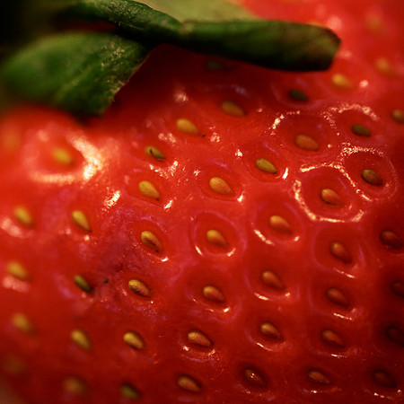 Strawberry Fields 1